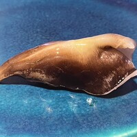 鮨 おにかい×2 - 