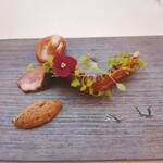 サン ミケーレ - 