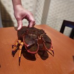 料理屋 くろ木 - 