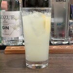 GOOD HUMOR - 無添加レモンサワー