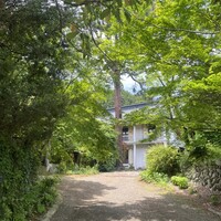 L'Arbre - 