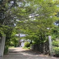 L'Arbre - 