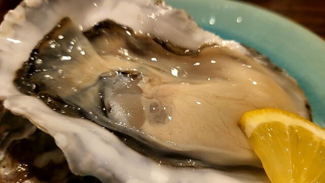 炉端　楽 - 旭川（居酒屋）の写真