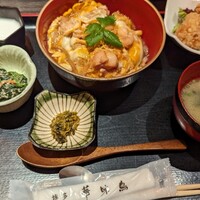 博多華味鳥 銀座4丁目店 - 