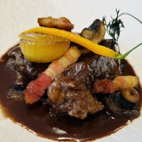 Loiseau de France - 