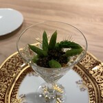 Restaurant Dix-neuf - アスペルジュソヴァージュ