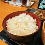 Shinpachi Shokudou - ご飯