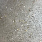 絵空事 - 塗り壁にも玄米が散りばめられて、こだわりを感じます。