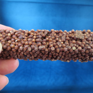 広貫堂 資料館_0