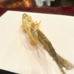 Ozashiki tempura tenmasa - 