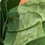 焼きもの家 慶 - 