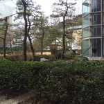 Komorebi - 中庭です