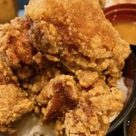 Karaage Hitosuji - 