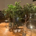 フォレスト・テーブル - 