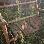 焼きもの家 慶 - 久しぶりに森のベンチで休んで帰ろうと思ったら草むしていよいよ末期的で^_^;