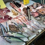 新潟本町 鈴木鮮魚 - 冬の味覚が満載の店内。魚の色味が何とも美しいです。