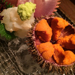 銀座 水野 - ばふん雲丹と蝉海老