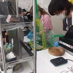 MARUICHI BAGEL - スタッフ総出でサンドイッチづくり