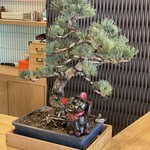 鮨ト酒 ナカニワ - 