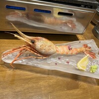 焼うお いし川 名古屋 - 