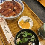 うなぎ料理 はし家 - 