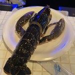 スペイン厨房 ティオ アキラ - 