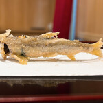 Tempura Takeuchi - 