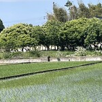 そば処 砂武縞 - 