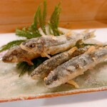 穴子料理と地酒 浅草 川井 - 