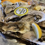 FAST OYSTERS - 