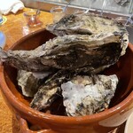 FAST OYSTERS - 