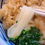 Teuchi Udon Fuugetsu - 艶やかな麺は、やはり「私の香川県でのNo.1 」を再認識させられた。