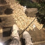 Japanese Ramen Noodle Lab Q - 