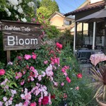 Bloom - 