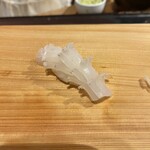 鮨ざこや - ケンサキイカの炙り