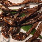 新潟肉と海鮮・50種の地酒 つるまる - 