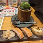 Sushi Sake Sakana Sugi Dama - 