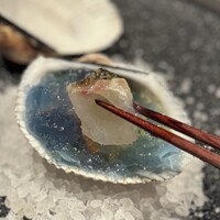 ニシデリア - 海のような碧から魚や貝が登場します❗️