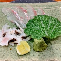味げん やまもと - 穴子のお刺身、美味しかった