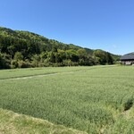 朽木旭屋 - お店の隣り