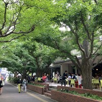 キハチ 青山本店 - 