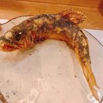 穴子料理と地酒 浅草 川井 - 