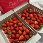 姫路ハートフル観光農園 - 