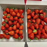 姫路ハートフル観光農園 - 