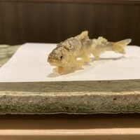 天白 - 