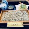 そば処 山の幸館 - 料理写真:天ぷらせいろ蕎麦