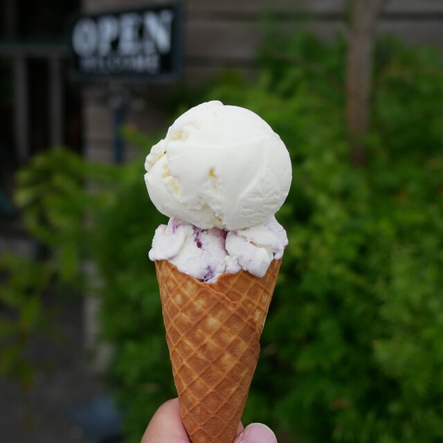 Hilo Homemade Ice Cream, Fujisawa, Japan