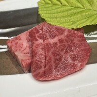 日本焼肉はせ川 表参道店 - 