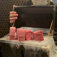 HIKARI - 