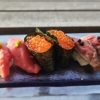 TOSA - 
